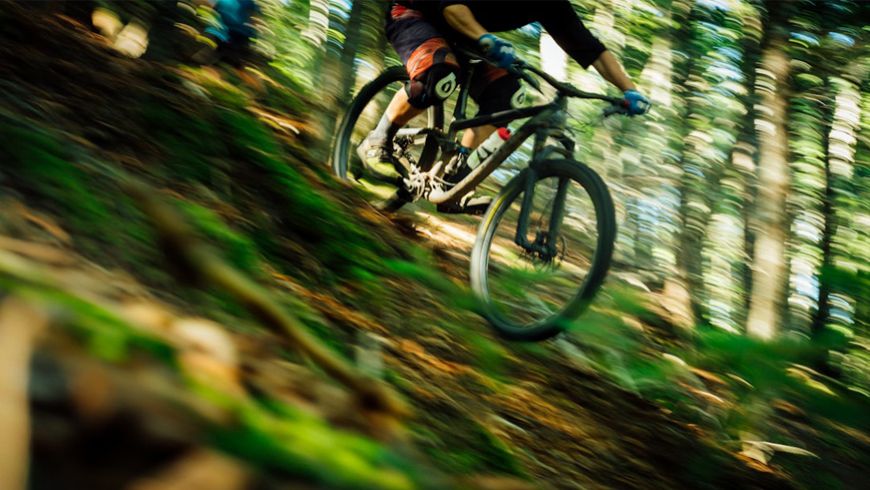 De mooiste mountainbikeroutes door Nederland